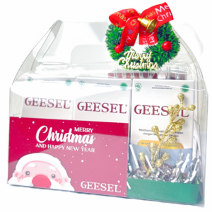 Geesel Christmast Paket 2